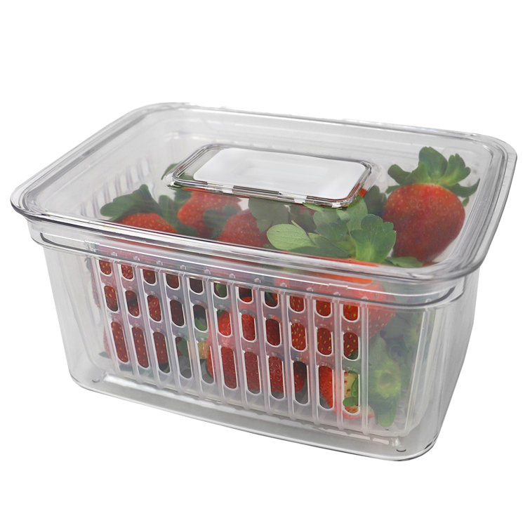 Prep & Savour Keep Fresh Food Storage Container Wayfair
